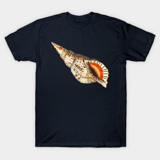 Shell Hand Drawn T-Shirt